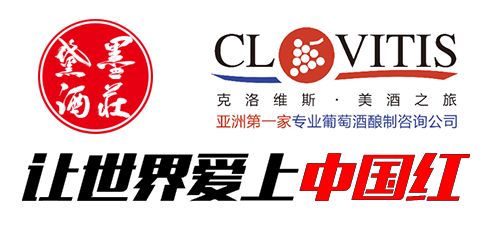 當(dāng)代咨詢視角下，成功紅集團(tuán)如何借助企業(yè)管理咨詢實(shí)現(xiàn)轉(zhuǎn)型升級
