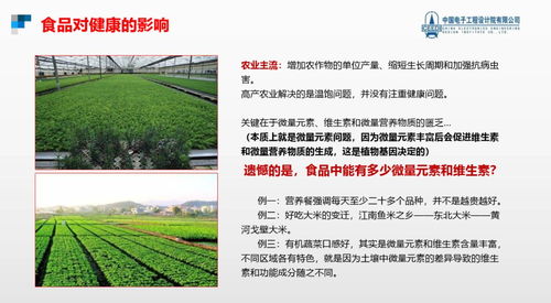 跨越隱形饑餓，點亮健康未來 硒鍶硅鋅營養健康食品項目與生態旅游開發協同發展計劃